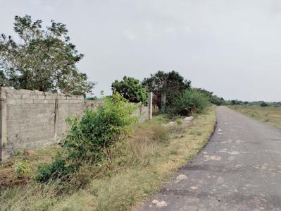 Project Image of 600.0 - 2400.0 Sq.ft Residential Plot Plot for buy in Madras Joythibasu Nagar