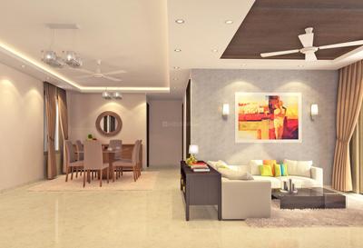 Project Images