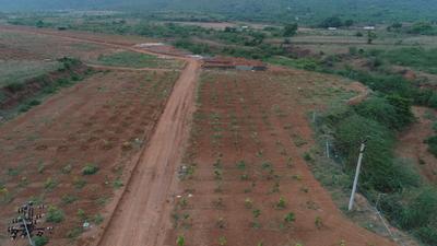 Project Image of 1000.0 - 15681.0 Sq.ft Residential Plot Plot for buy in Chettinad Farms