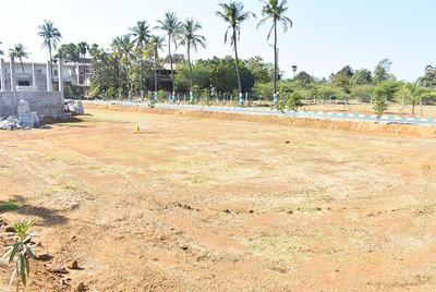 Project Image of 525.0 - 2825.0 Sq.ft Residential Plot Plot for buy in Premier MRP Green Homes