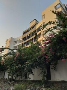 Icon Bliss Elevation 1