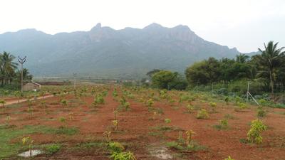 Project Image of 1000.0 - 15681.0 Sq.ft Residential Plot Plot for buy in Chettinad Farms