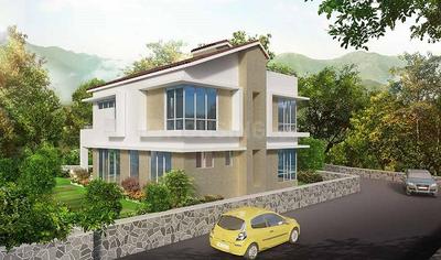 Project Images