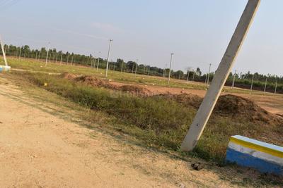 Project Image of 2250.0 - 5500.0 Sq.ft Residential Plot Plot for buy in Nesara Garden County Farms