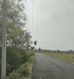 Project Images
