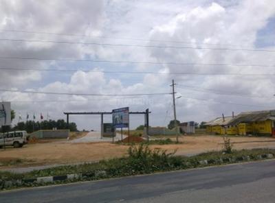 Yesh Greens Phase II Main Other 1