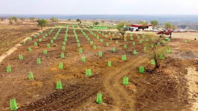 Project Image of 5445.0 - 43560.0 Sq.ft Residential Plot Plot for buy in Sampangi The Treasure Valley