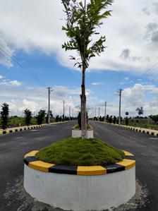 Project Image of 1503.0 - 2403.0 Sq.ft Residential Plot Plot for buy in Sri Meenakshi County