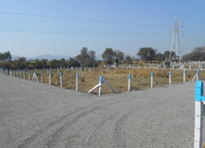 Project Image of 3394.0 - 4915.0 Sq.ft Residential Plot Plot for buy in FDCC Frizia