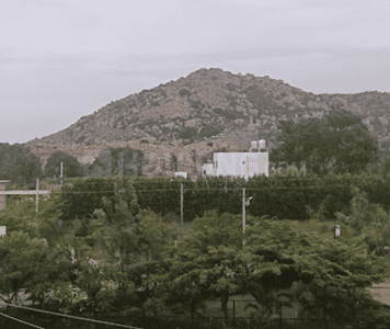 Project Image of 871.45 - 2286.58 Sq.ft Residential Plot Plot for buy in Sri Vaishno Vaishno Green County 2A
