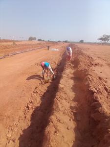 Project Image of 1323.0 - 4050.0 Sq.ft Residential Plot Plot for buy in Sez County