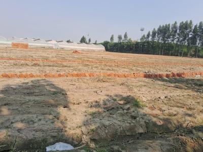 Project Image of 450.0 - 1800.0 Sq.ft Residential Plot Plot for buy in King Way Paradise