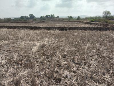 Project Image of 1000.0 - 10000.0 Sq.ft Residential Plot Plot for buy in AJ LAND IN VINDHANE THIRD MAHA MUMBAI