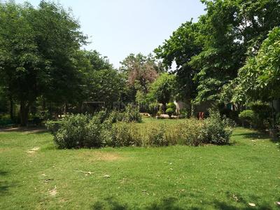 Project Images