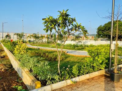 Ruby Central Park Flower Garden 1