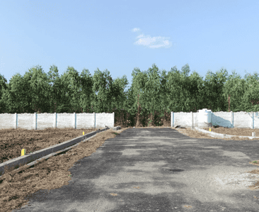 Project Images
