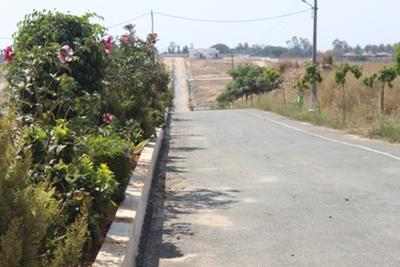 Project Image of 1200.0 - 5000.0 Sq.ft Residential Plot Plot for buy in AVS De Flora