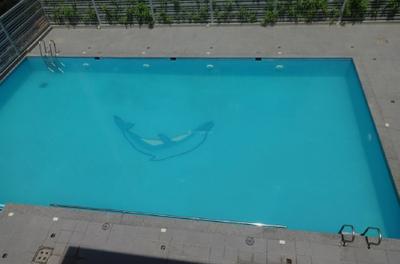 Project Image of 291.0 - 385.0 Sq.ft 1 BHK Apartment for buy in Nirman Ajinkyatara Wing D