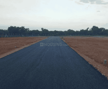 Project Images