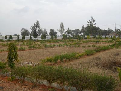 Project Image of 1500.0 - 2400.0 Sq.ft Residential Plot Plot for buy in Greater Eco Vista