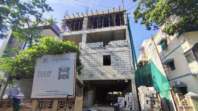 Project Image of 621.0 - 1773.0 Sq.ft 1 BHK Apartment for buy in Shree Tulip