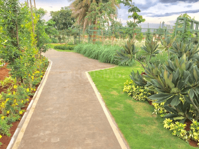 Project Image of 0.0 - 143547.51 Sq.ft Residential Plot Plot for buy in TGH Total Green Homes