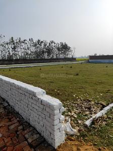 Project Image of 1000.0 - 1288.0 Sq.ft Residential Plot Plot for buy in Housing Purvanchal Greens