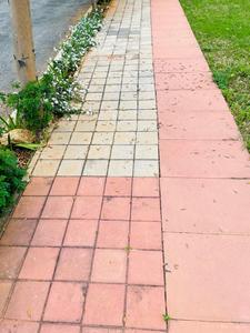 Project Image of 1410.0 - 2400.0 Sq.ft Residential Plot Plot for buy in MGS Shreela Airview Enclave