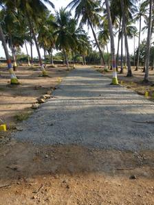 Project Image of 600.0 - 4800.0 Sq.ft Residential Plot Plot for buy in Accord Ranch City