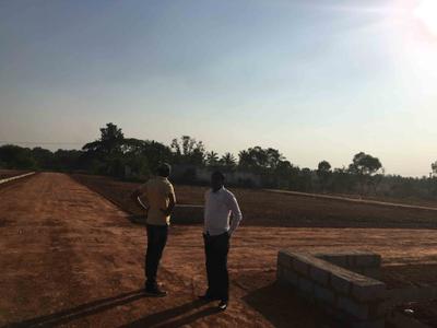 Project Image of 1200.0 - 5000.0 Sq.ft Residential Plot Plot for buy in Enrich Garden City