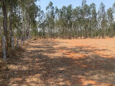 Project Image of 1200 Sq.ft Residential Plot / Land for sale in Dyavarahalli for Rs. 10800000