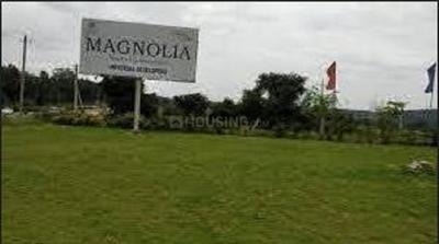 Project Image of 1800.0 - 2400.0 Sq.ft Residential Plot Plot for buy in Magnolia Temple Tree