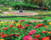 Synergy Satvam Hills C1 Flower Garden 2