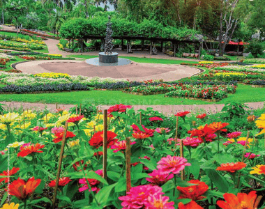 Project Image of 2200.0 - 6000.0 Sq.ft Residential Plot Plot for buy in Synergy Satvam Hills C1
