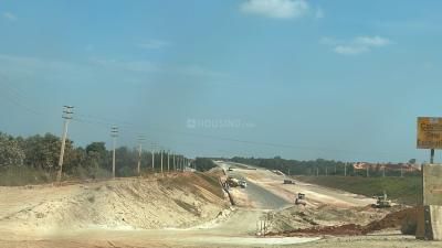 Project Image of 5178.0 - 11433.0 Sq.ft Residential Plot Plot for buy in PK Mango Nest Farmlands