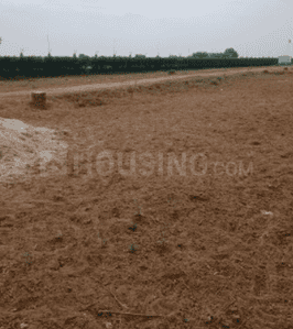 Project Image of 801.53 - 15028.14 Sq.ft Residential Plot Plot for buy in Garden 28 Pataudi