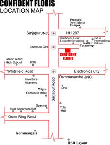 Project Image of 1200.0 - 2400.0 Sq.ft Residential Plot Plot for buy in Confident Floris