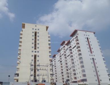 Gem Grove Elevation 2