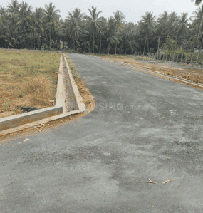 Project Images