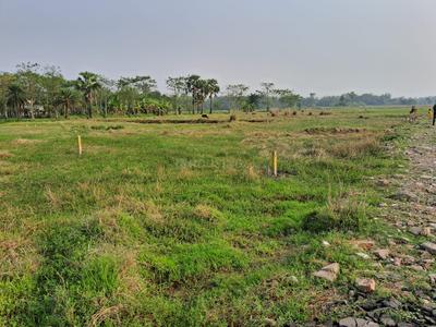 Gallery Cover Pic of Aman City
