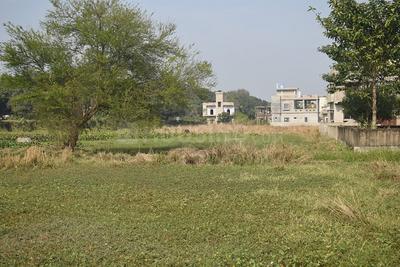Project Image of 1440.0 - 2160.0 Sq.ft Residential Plot Plot for buy in SMGA Sampriti Garden