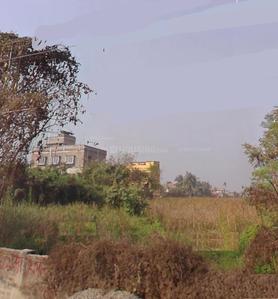 Neer Garden Plot 1