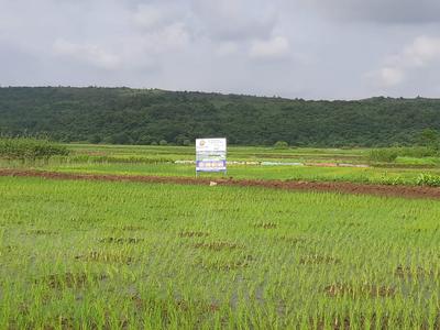 Project Image of 1000.0 - 10000.0 Sq.ft Residential Plot Plot for buy in Bhoomi Plots