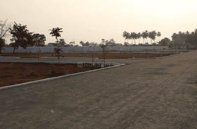 Project Images