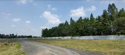 Project Image of 700.0 - 2400.0 Sq.ft Residential Plot Plot for buy in Thenral Nagar
