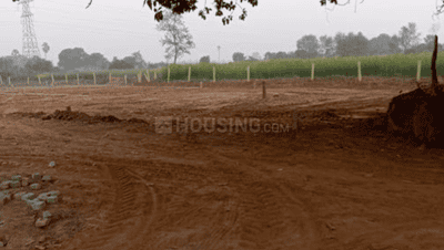 Project Image of 1200 Sq.ft Residential Plot / Land for sale in Bihta for Rs. 1800000