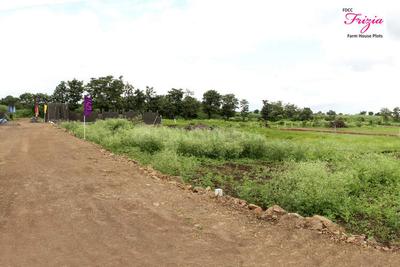 Project Image of 3394.0 - 4915.0 Sq.ft Residential Plot Plot for buy in FDCC Frizia