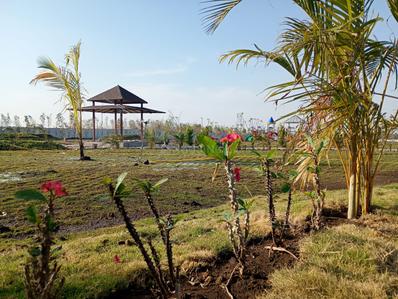 Project Image of 5500.0 - 32500.0 Sq.ft Residential Plot Plot for buy in Gurukul Anandam Hills View