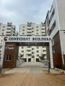 Confident Pride Elevation 1