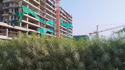Project Image of 0.0 - 1514.7 Sq.ft 4 BHK Apartment for buy in Siddharth Vrundavan Phase 1